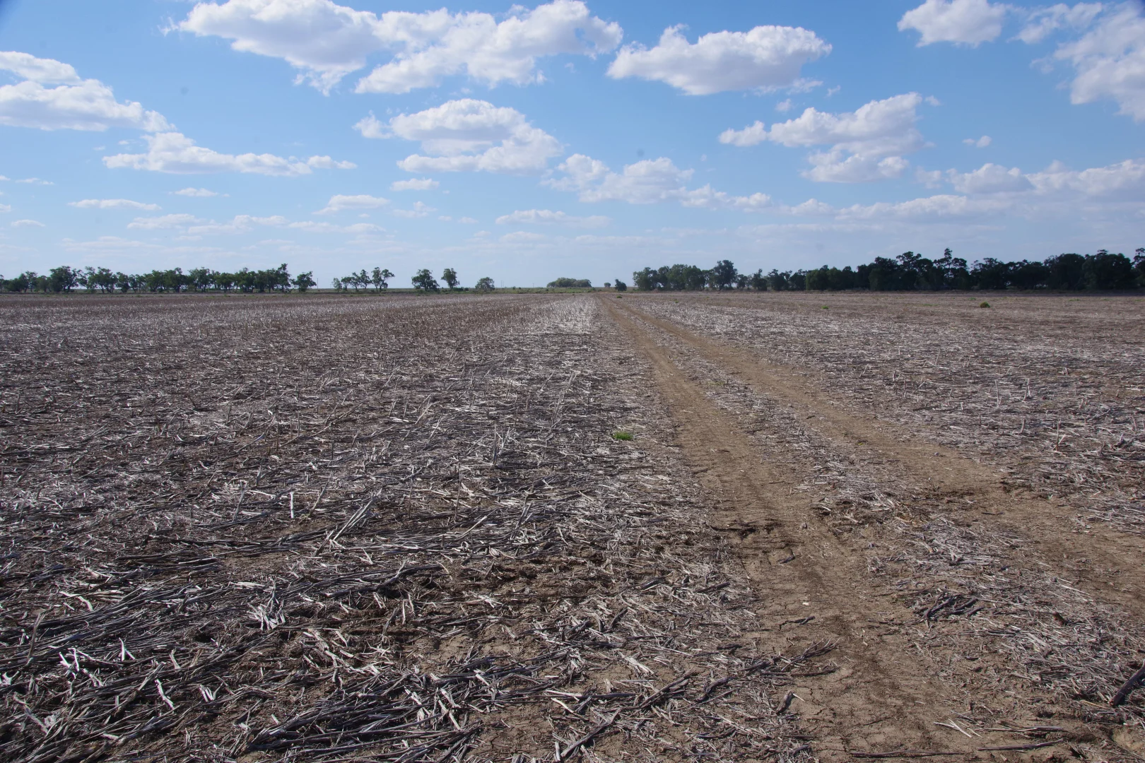 Additional image 7 of 20841 Kamilaroi Highway, Narrabri NSW 2390