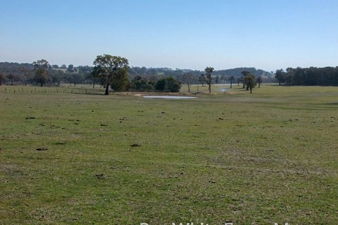 Picture of Yangoora Road, GARLAND NSW 2797