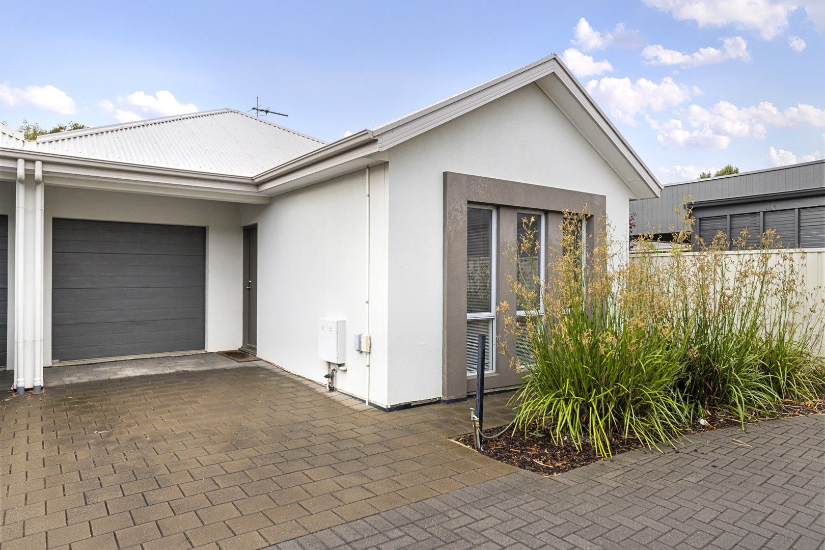 5 Shearing Street, Oaklands Park SA 5046, Image 0