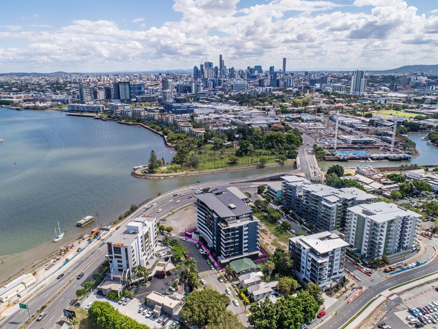 Pest control in Hamilton