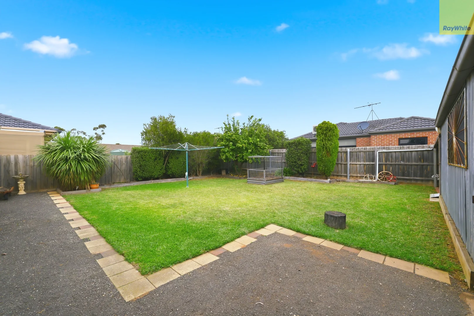 Image 15