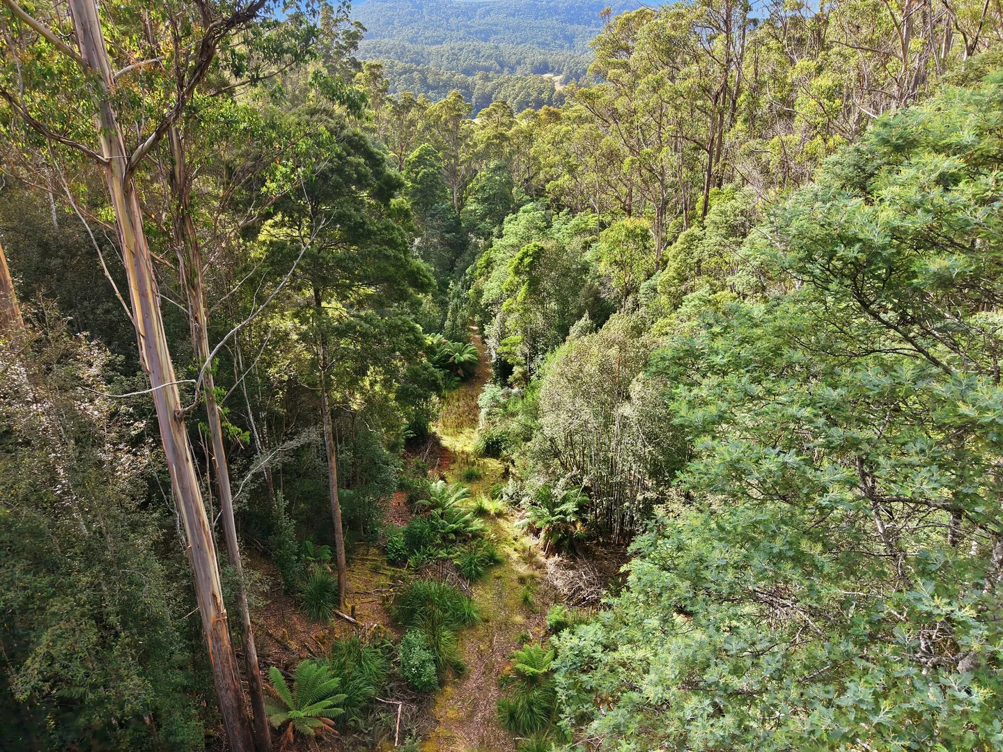 Additional image 12 of 111 Underwoods Road, Nicholls Rivulet TAS 7112