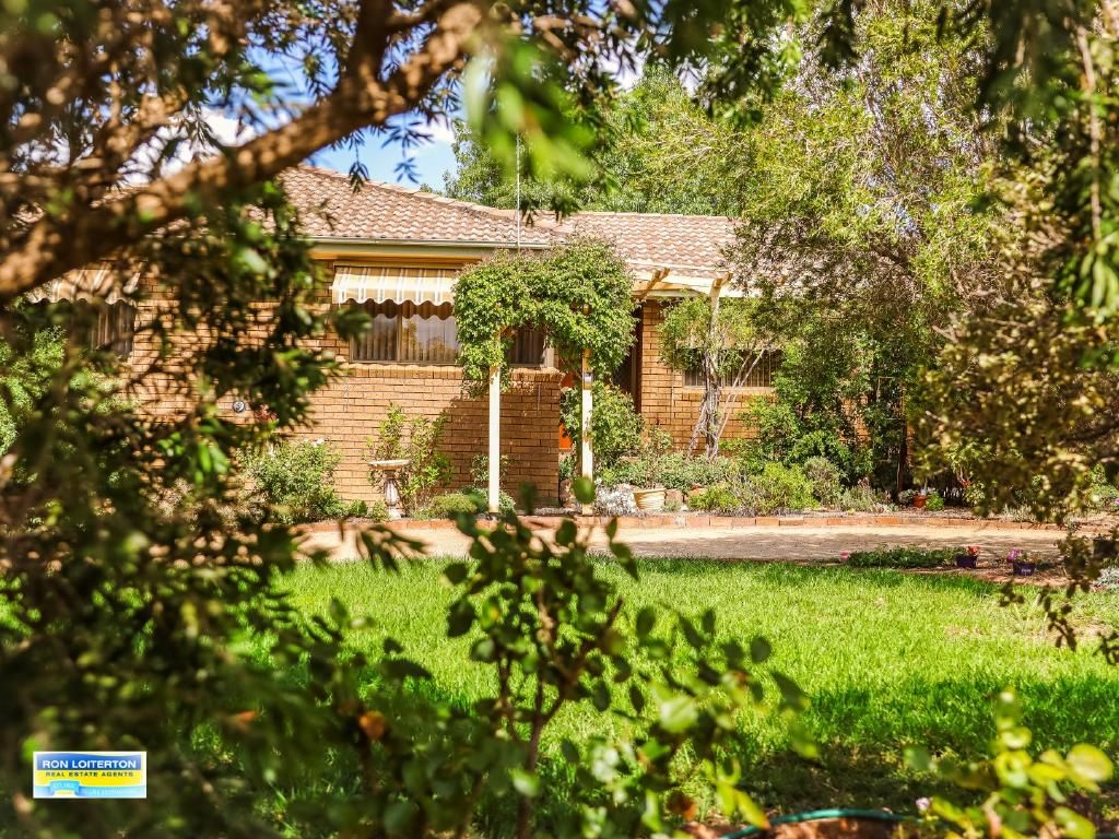 19 Byrne Street, Cootamundra NSW 2590, Image 0