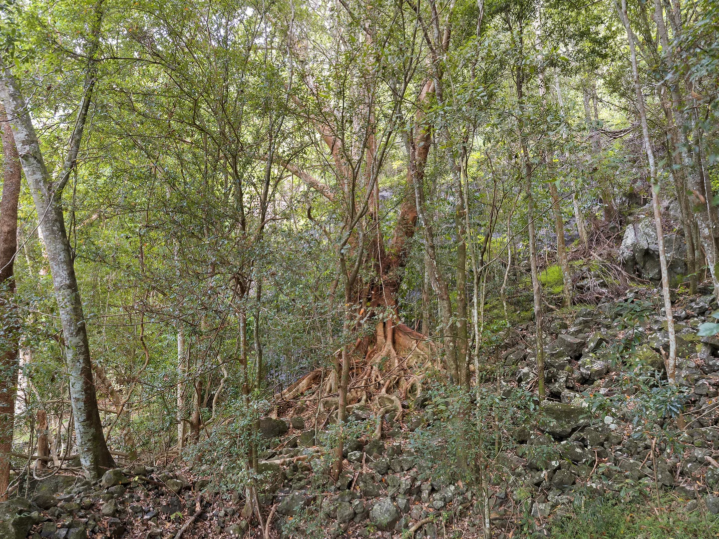 Image 18