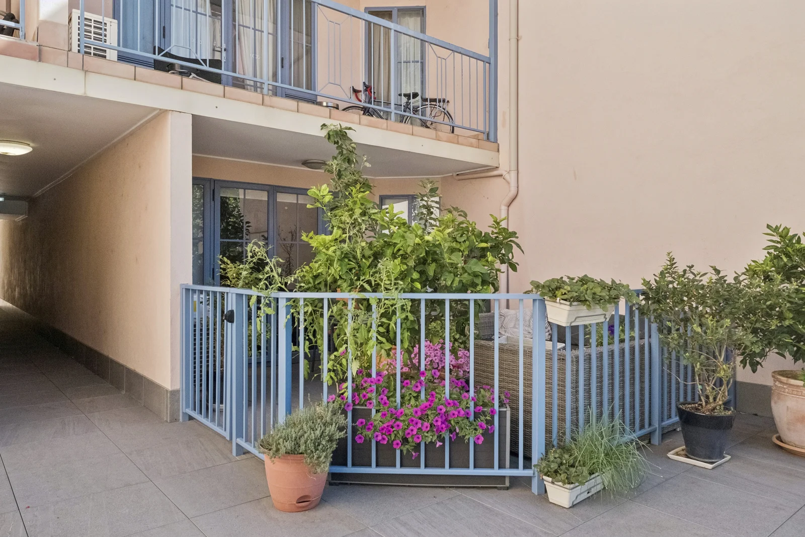 Image 12