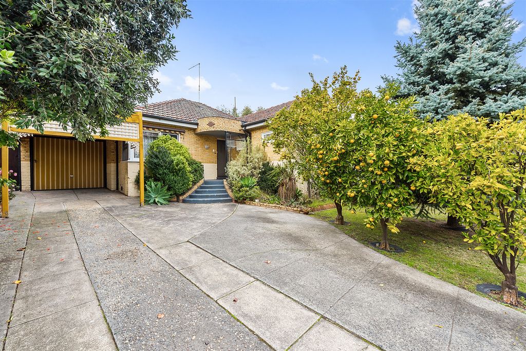 17  Through Road, Camberwell VIC 3124, Image 1