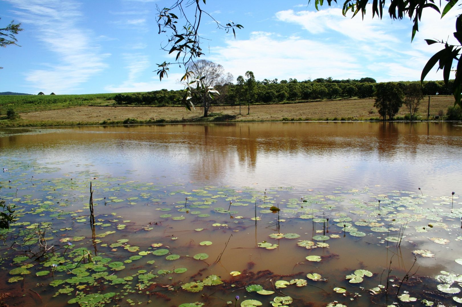 Bauple QLD 4650 House for Sale 65 Domain