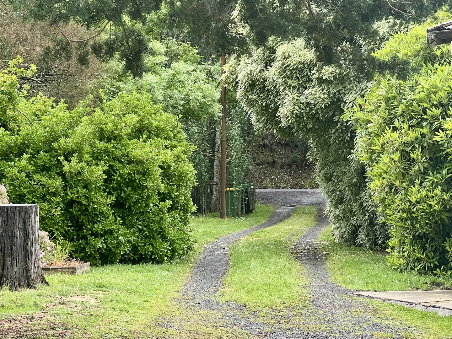 Image 18