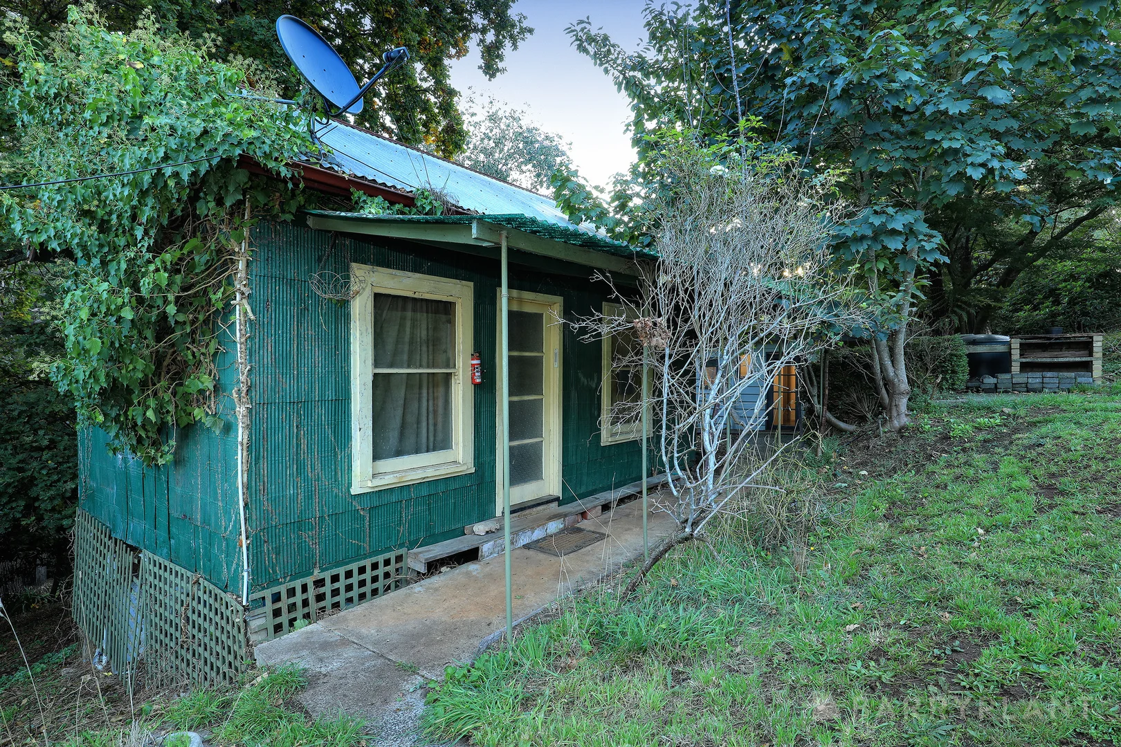 Image 11