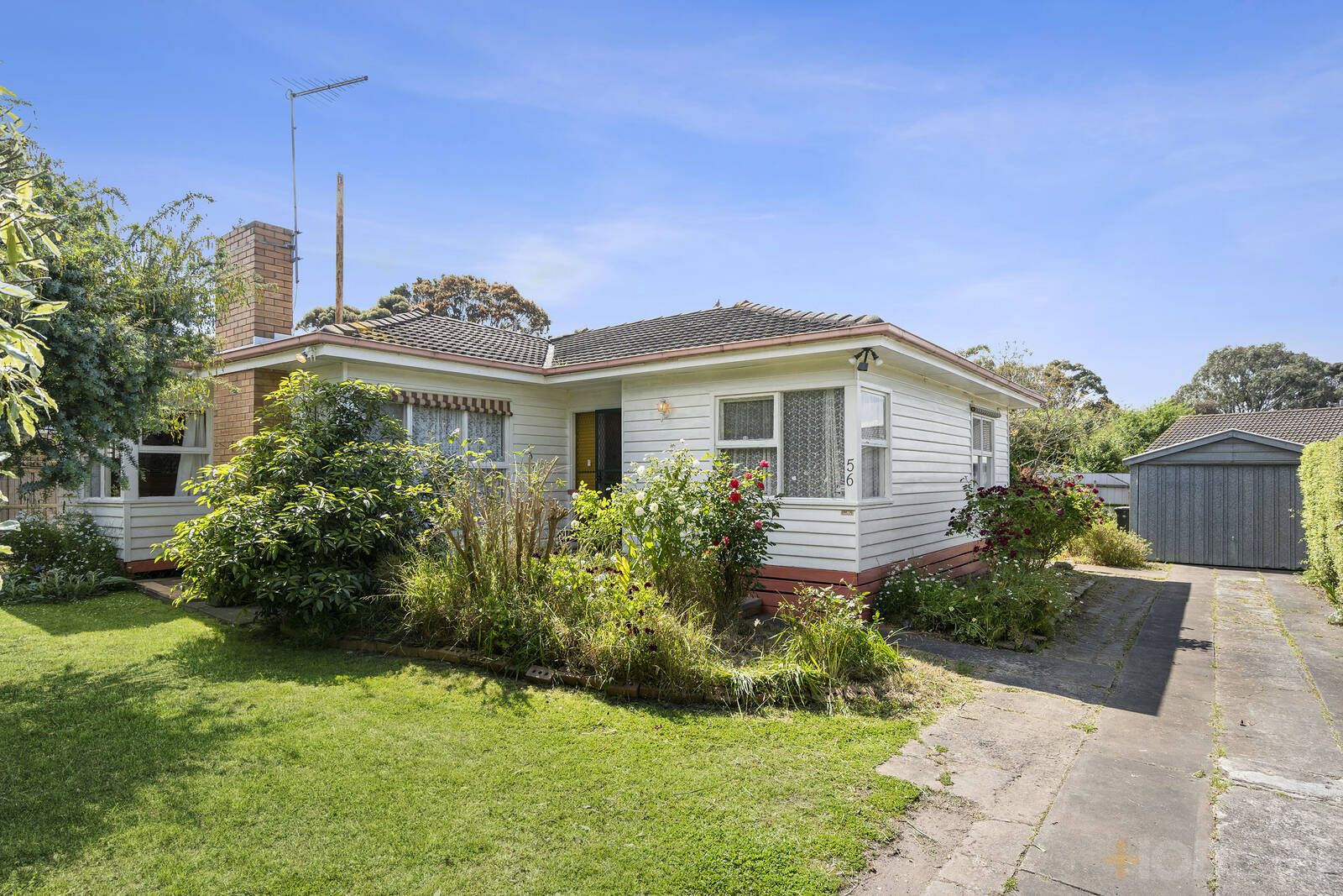 56 Itkeston Street, Herne Hill VIC 3218 Domain