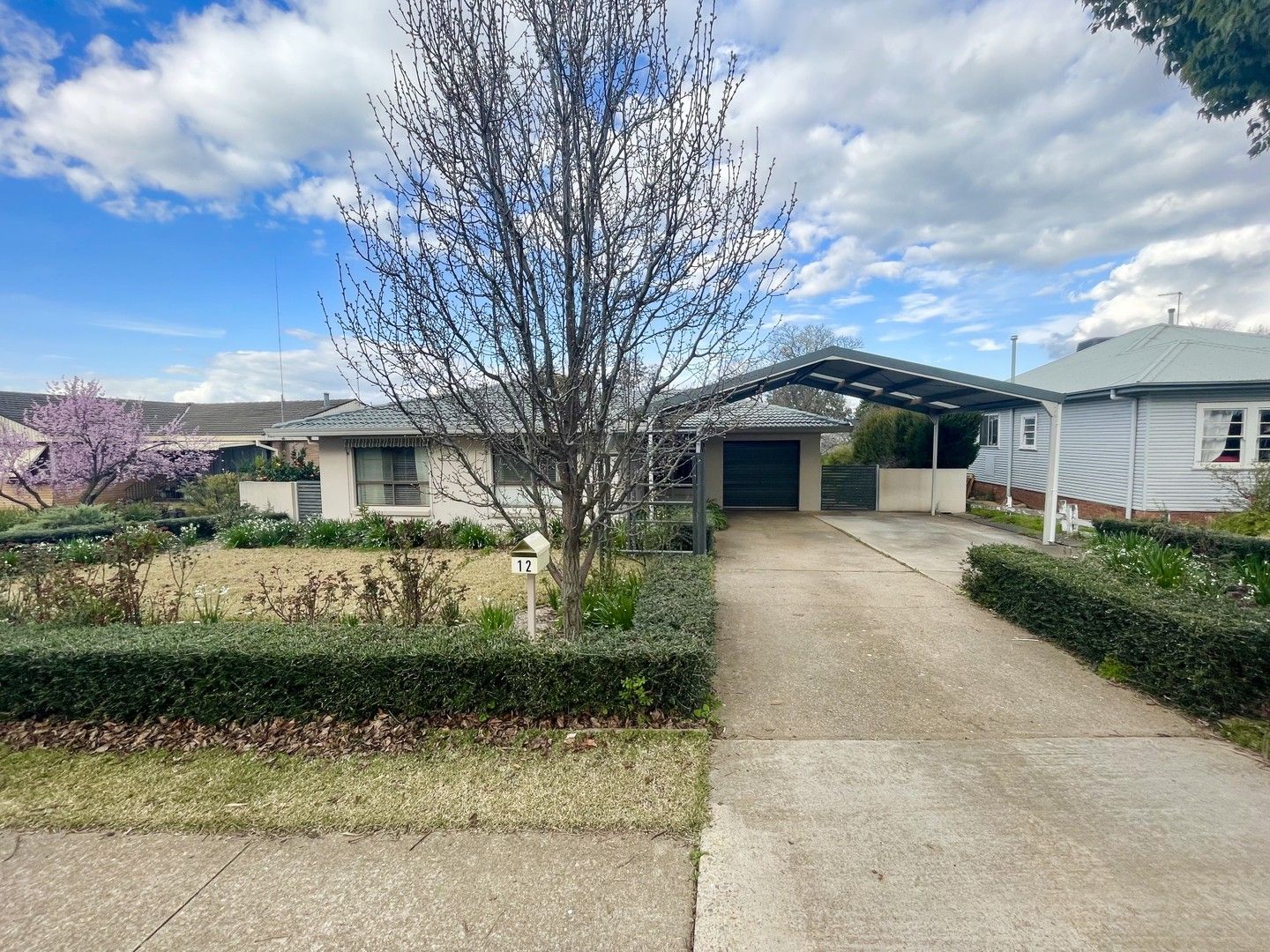 3 bedrooms House in 12 Back Creek Road YOUNG NSW, 2594