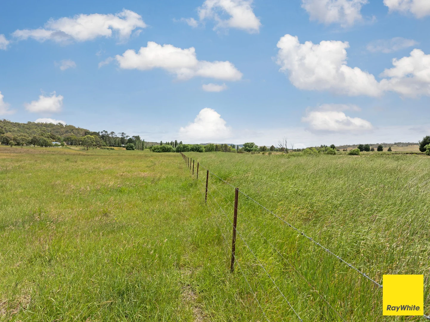 Image 22