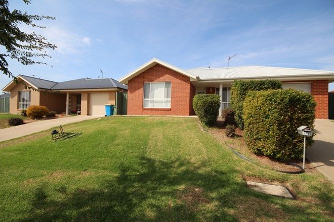 Picture of 1 & 2/29 Melaleuca Drive, FOREST HILL NSW 2651