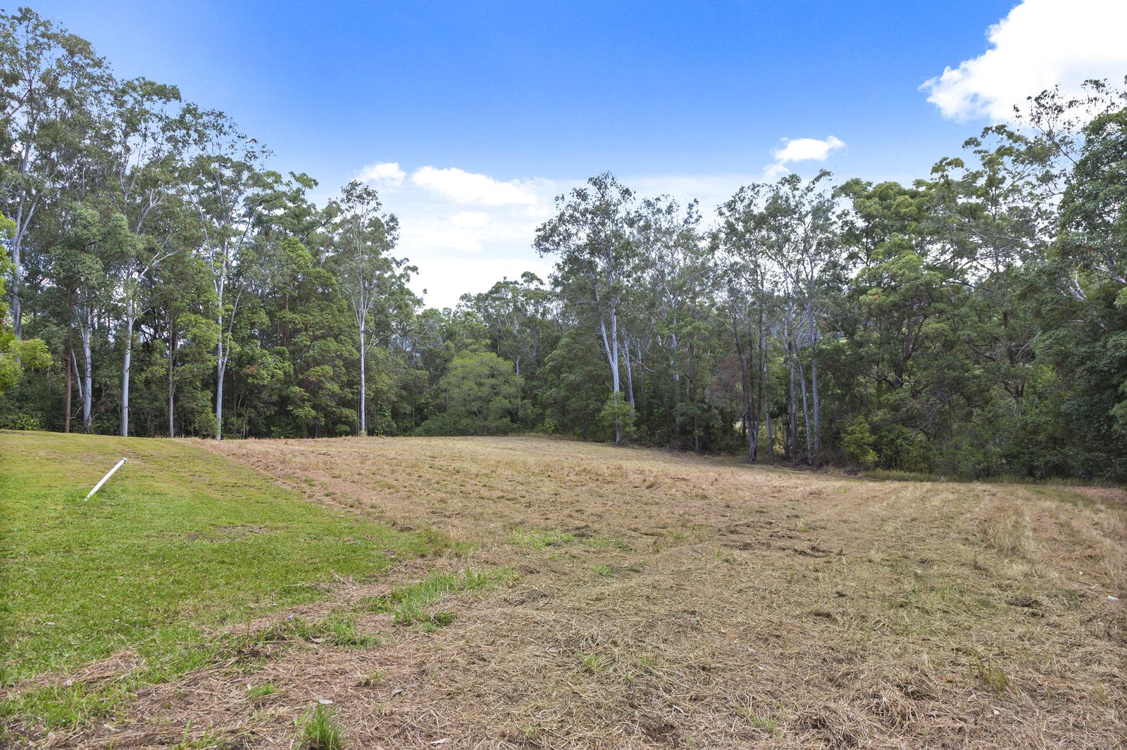 599 Blackall Range Road, West Woombye QLD 4559, Image 2