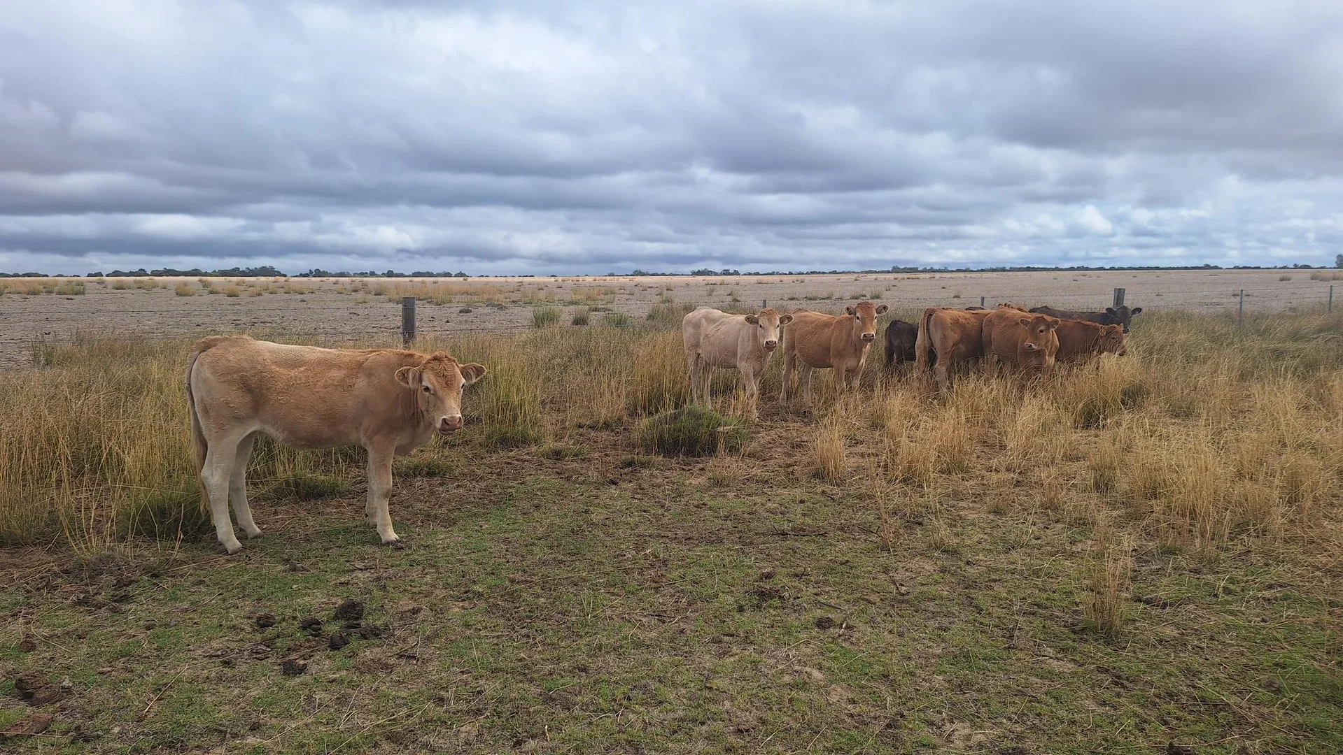 Additional image 20 of 1222 Namban West Road, Namban WA 6512