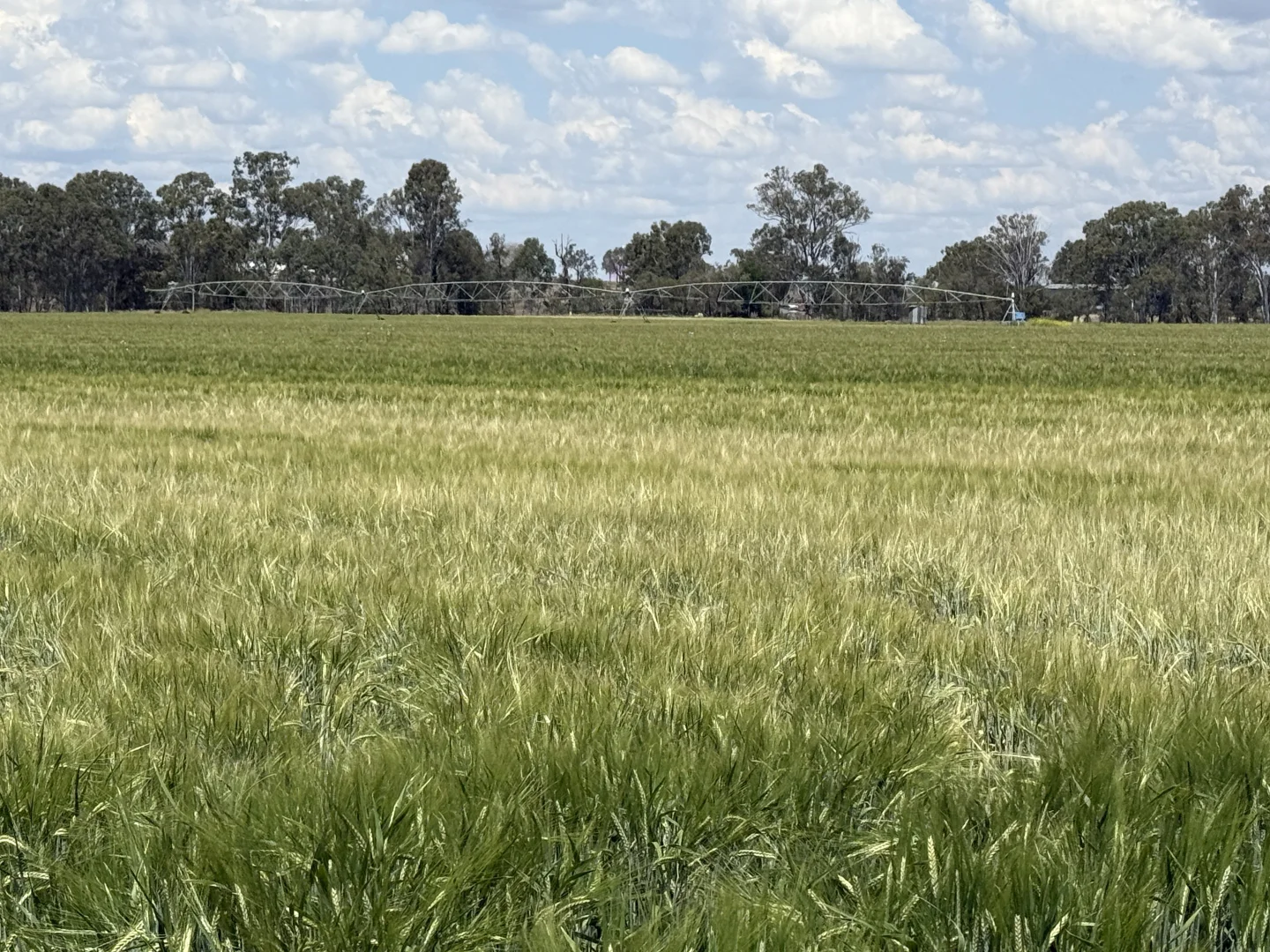 Image 12