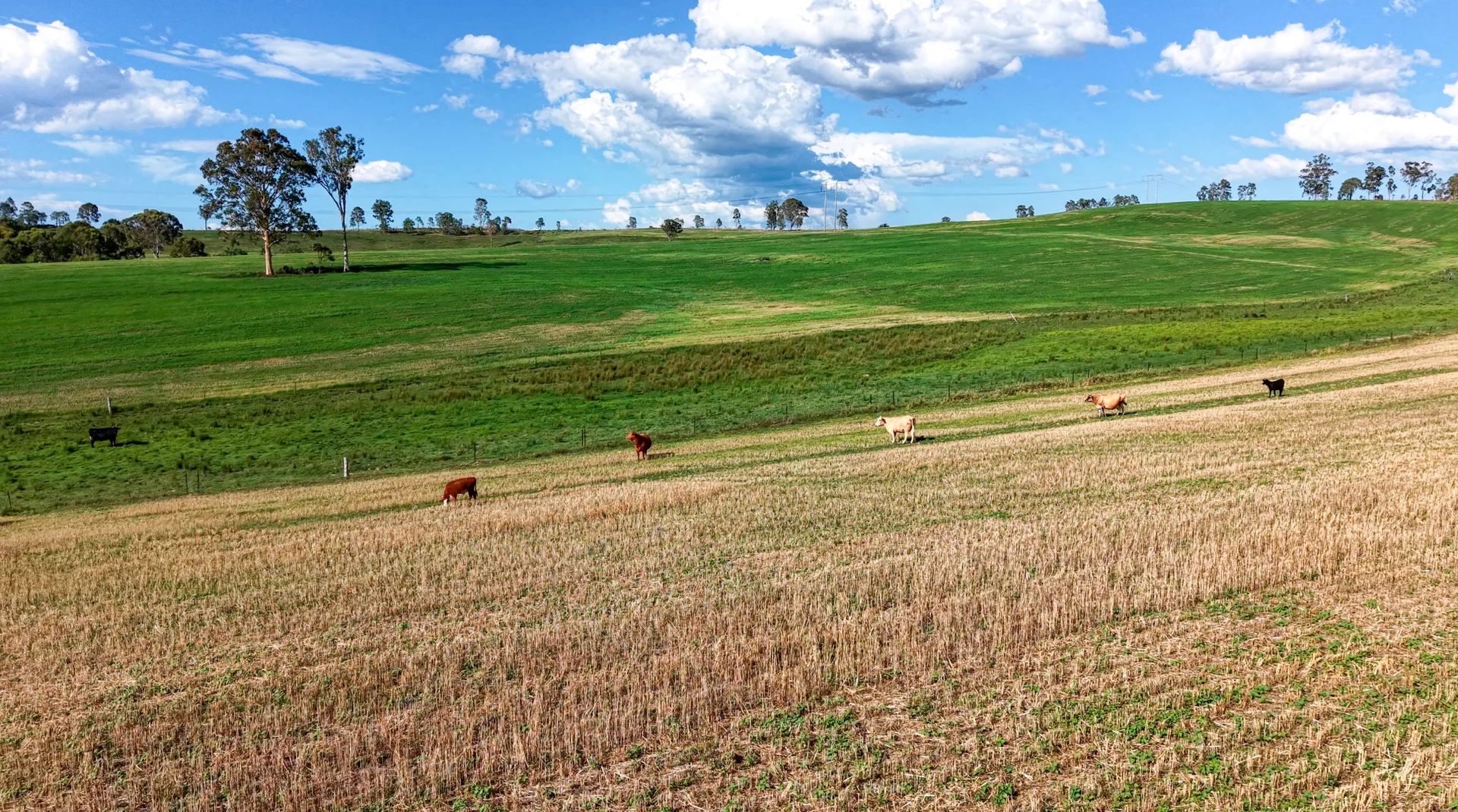 Additional image 7 of 119 Paddys Flat Road, Tabulam NSW 2469