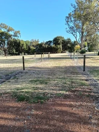 Image 14