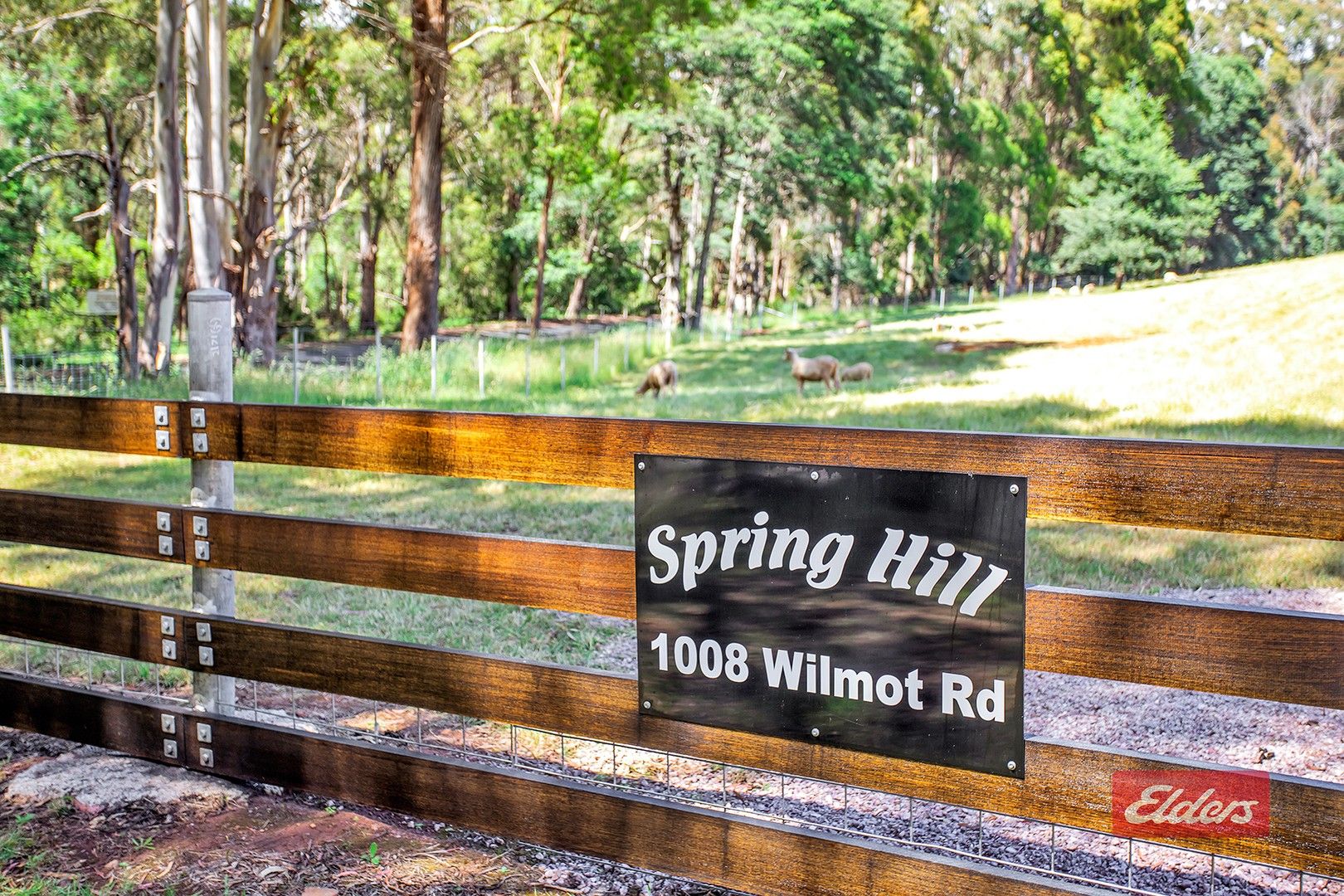 1008 Wilmot Road, Kindred TAS 7310 House for Sale Domain