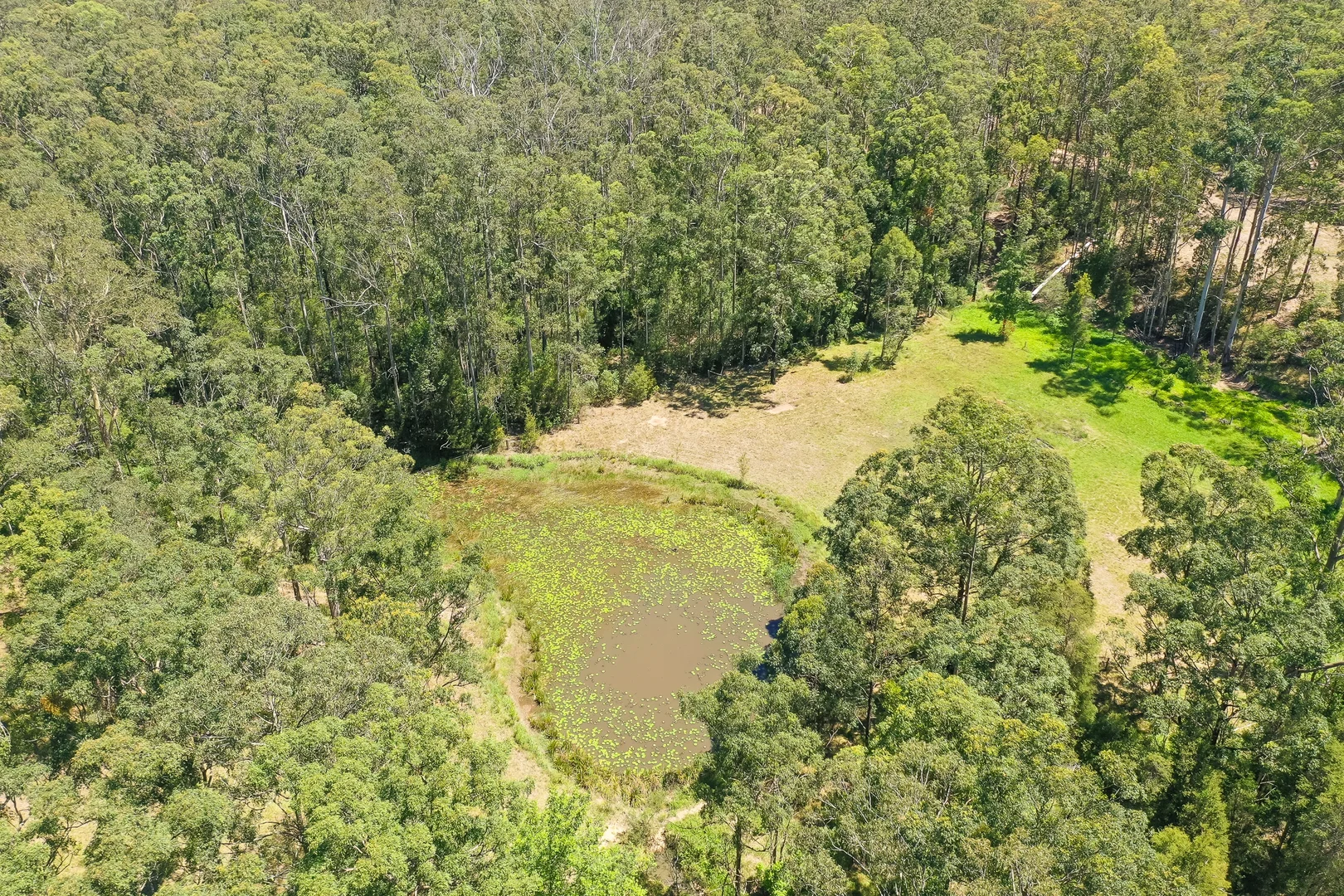Additional image 14 of 6 Doakes Lane, Tinonee NSW 2430
