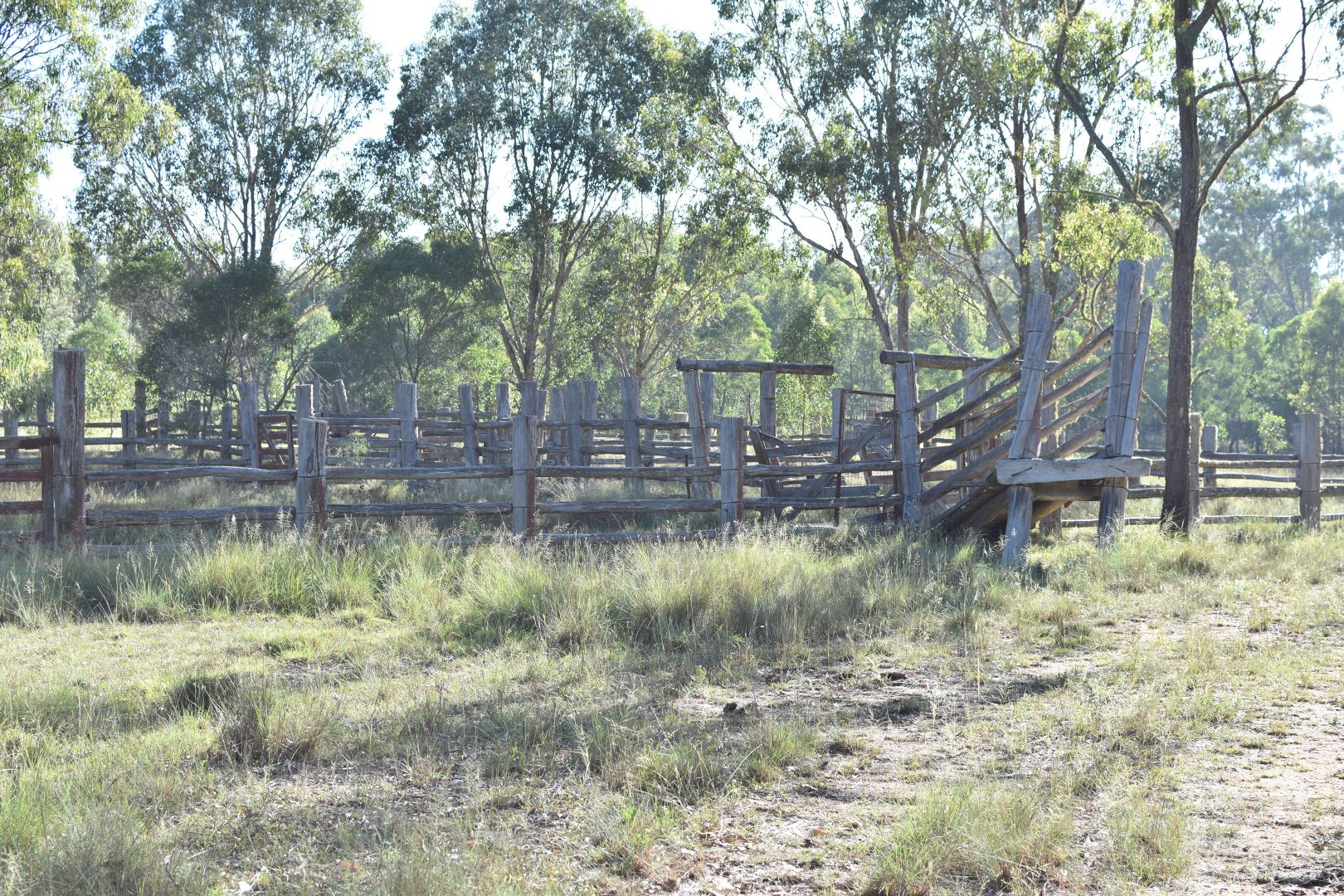Vinegar Hill Road, Lower Acacia Creek NSW 2476, Image 1