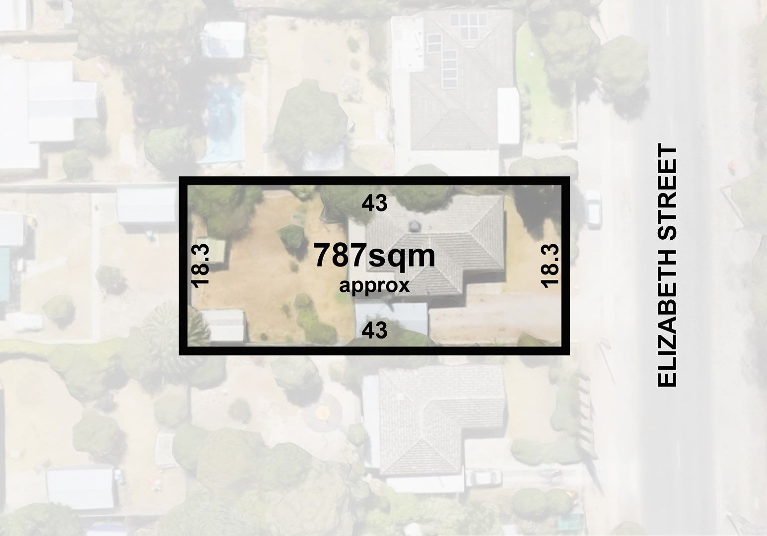 49 Elizabeth Street, Banksia Park SA 5091, Image 0