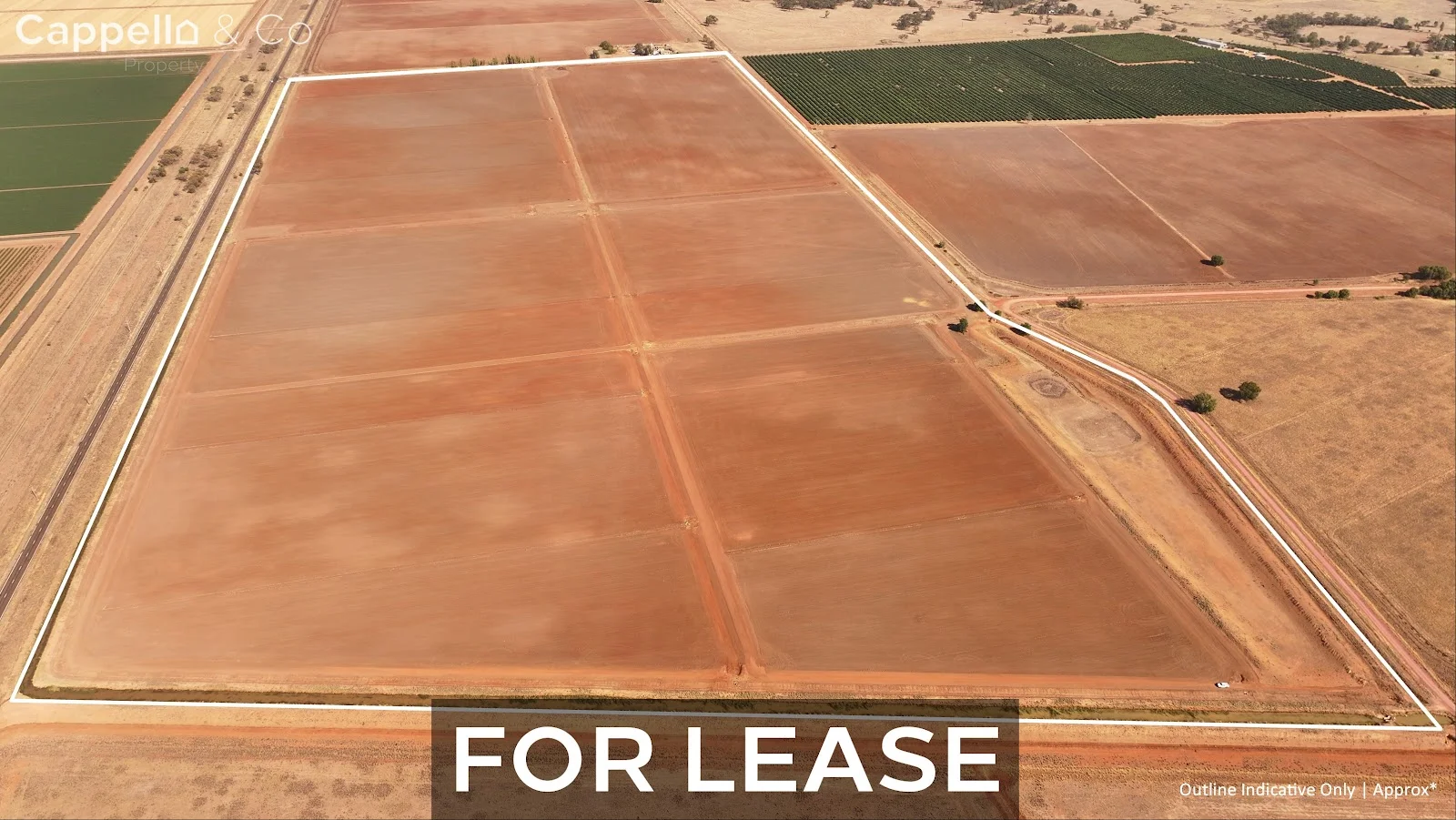 401 Hogan Road, Whitton NSW 2705