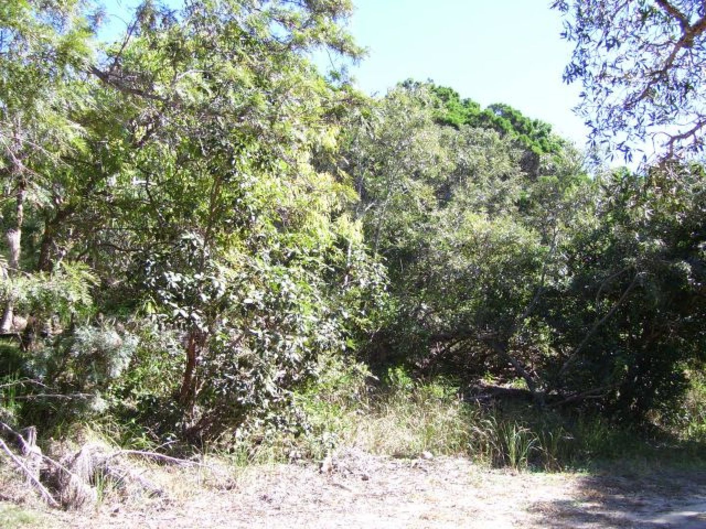 Lot 410 Anderson Street, Fraser Island QLD 4581, Image 1