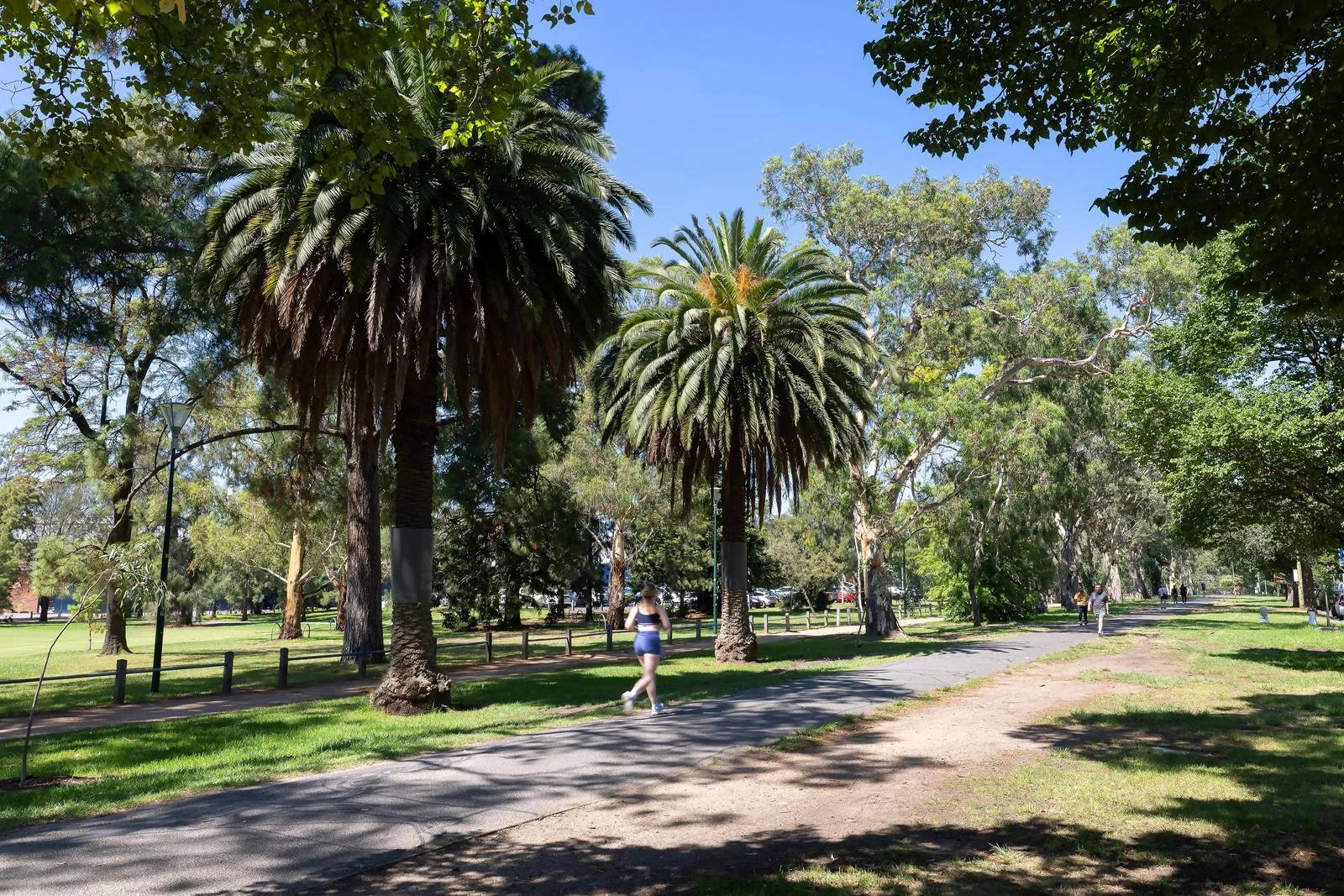 Additional image 18 of 501/459 Royal Parade, Parkville VIC 3052