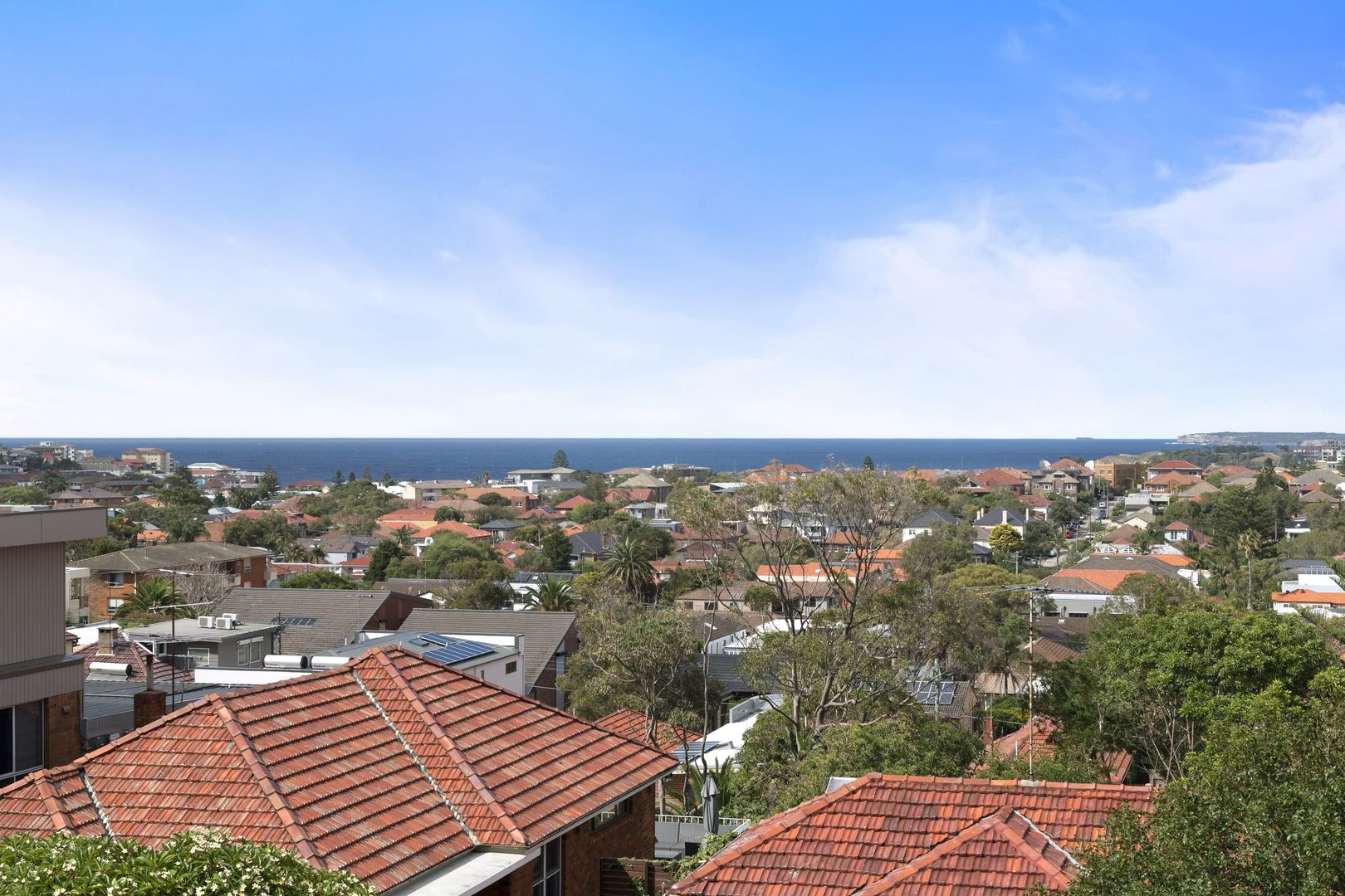 6a Macleay Street, North Bondi NSW 2026, Image 2