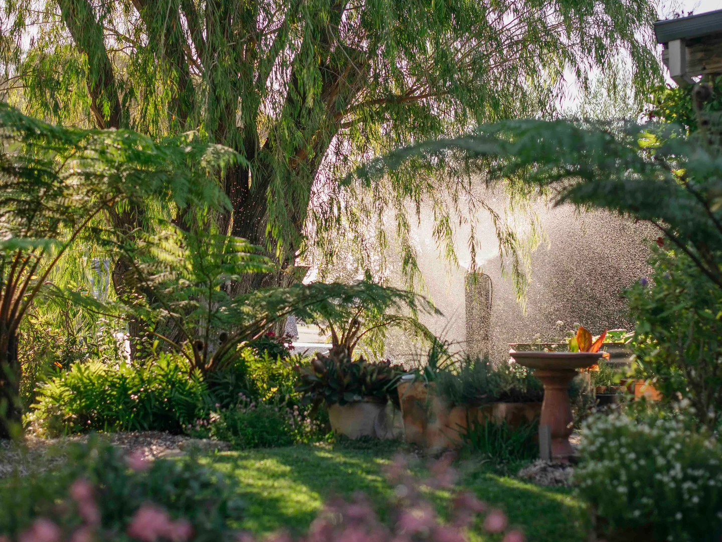 Additional image 3 of 6 Irene Street, Castletown WA 6450