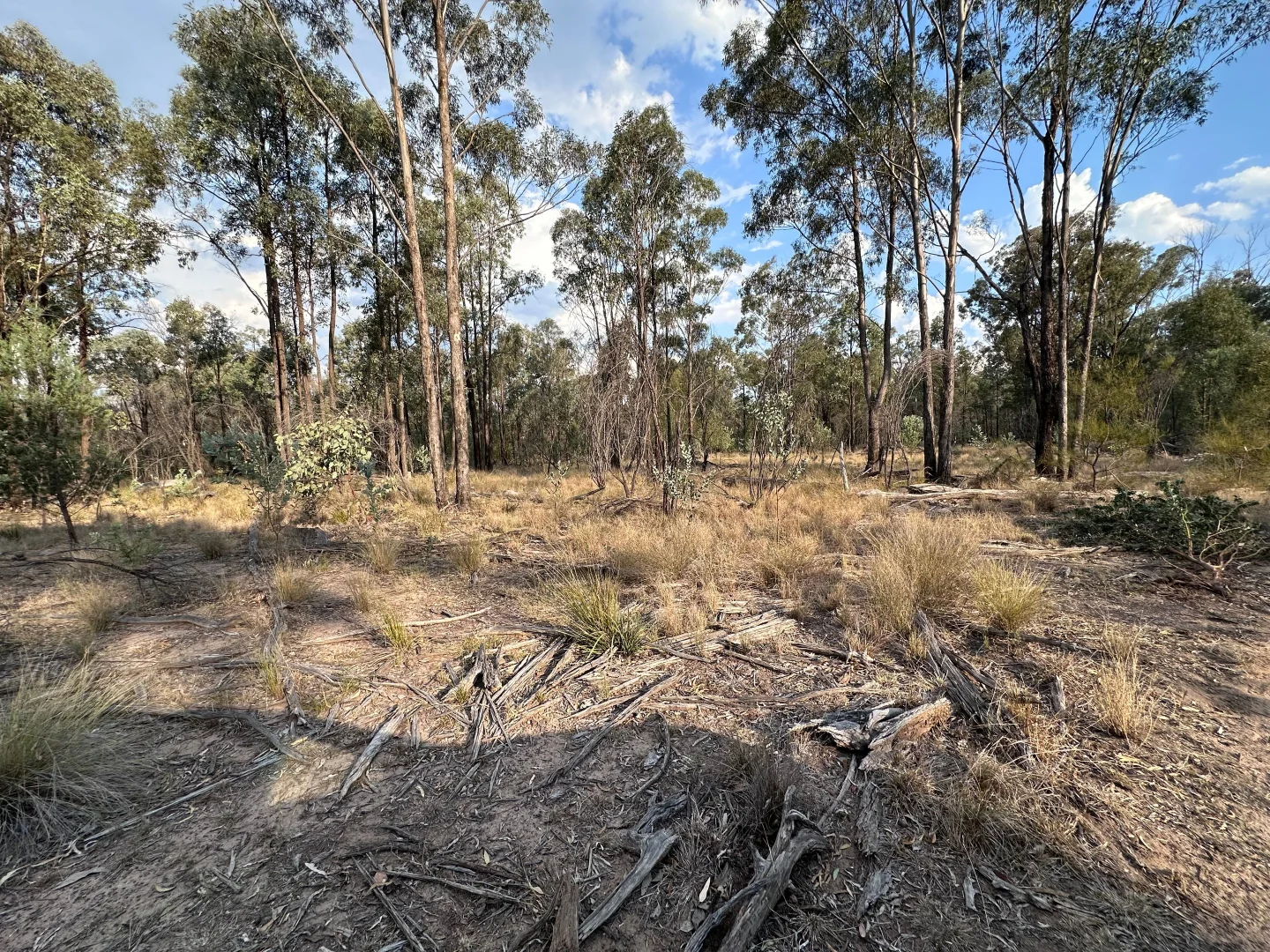 Image 18