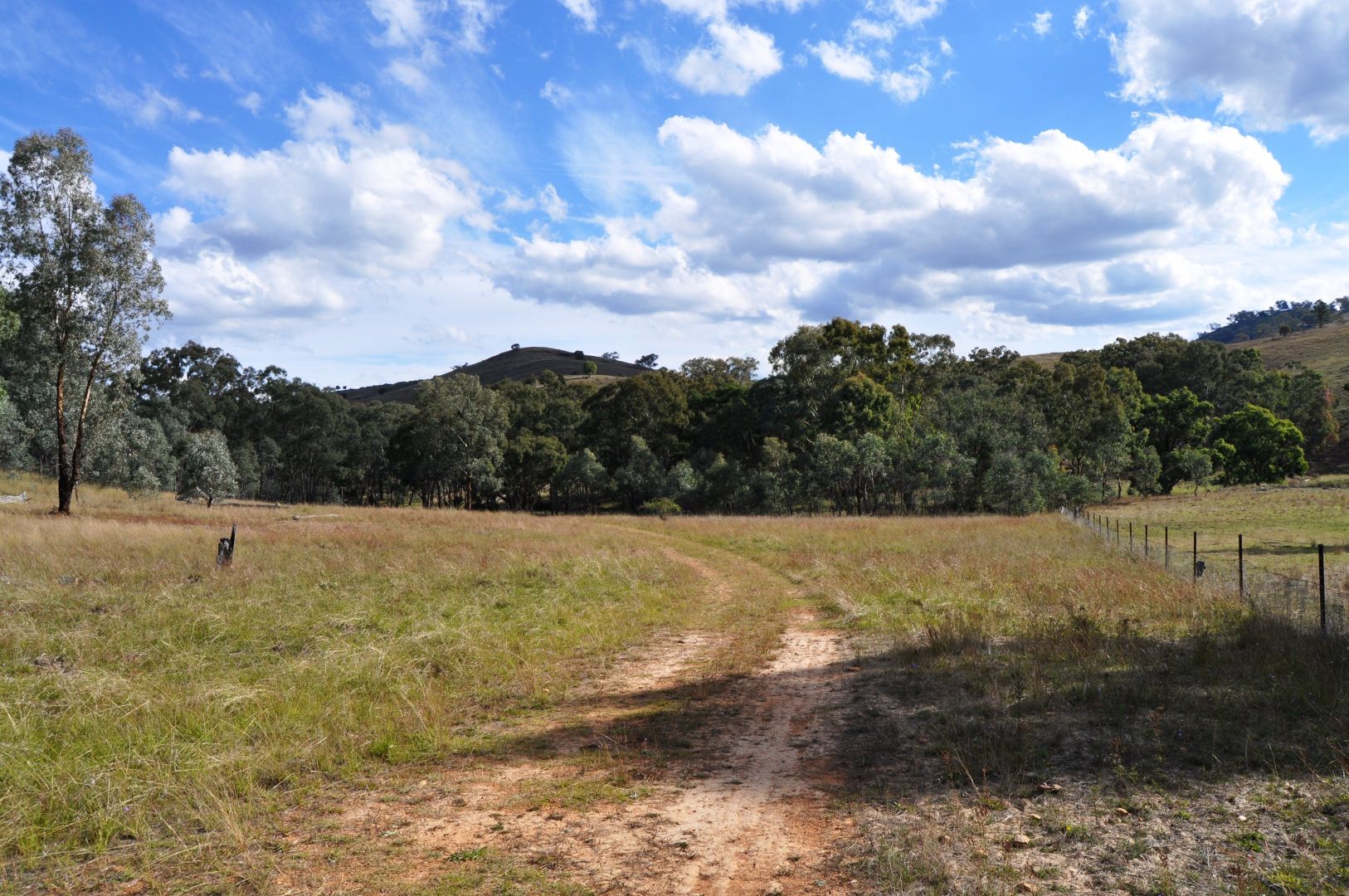 2095 Lower Piambong Road, Piambong NSW 2850, Image 1