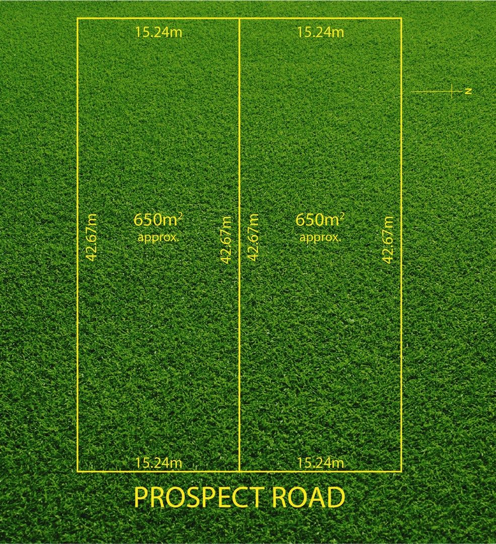 308 Prospect Road, Prospect SA 5082, Image 2