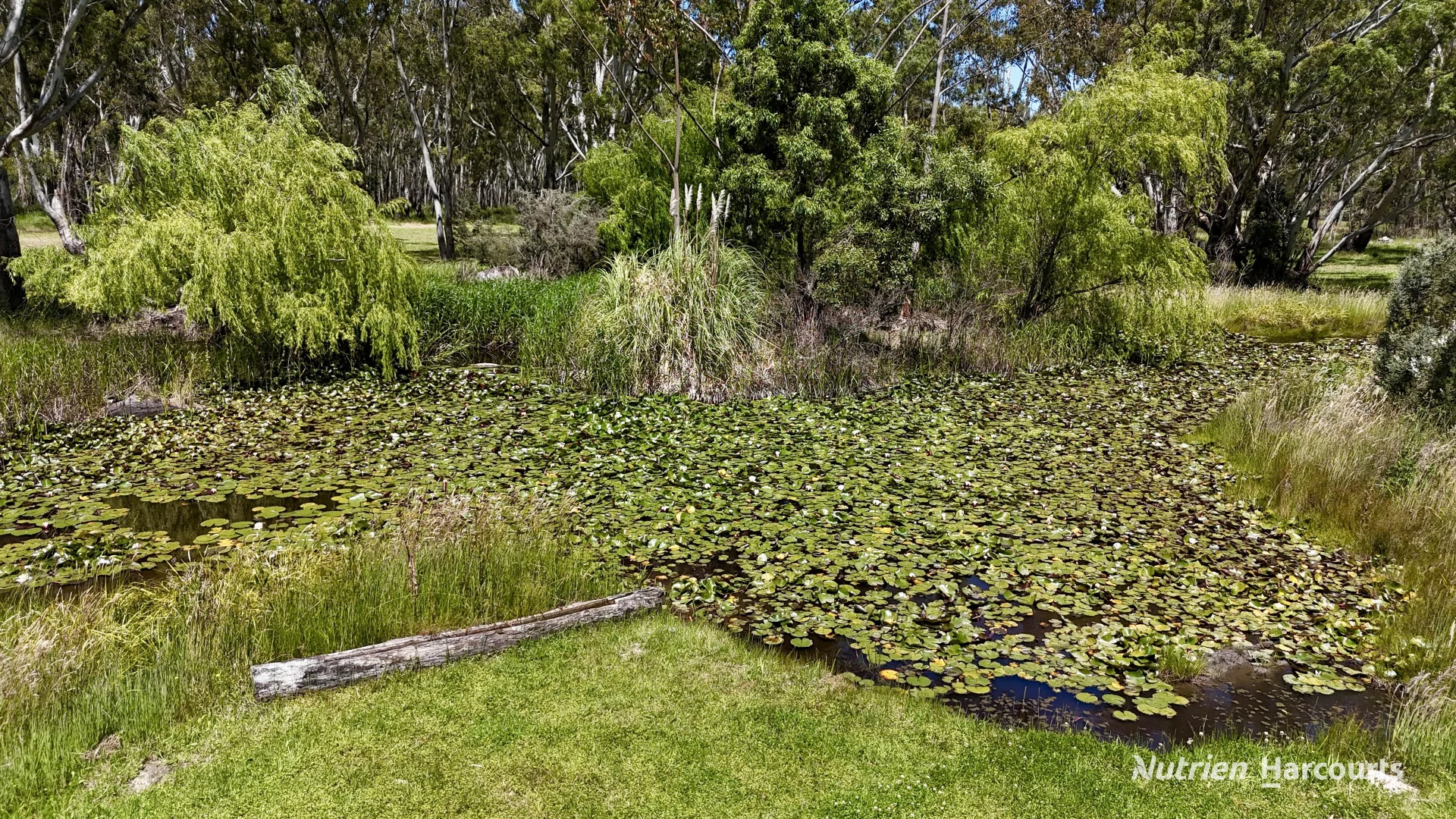 Additional image 21 of 128 Ponderosa Road, Strathdownie VIC 3312