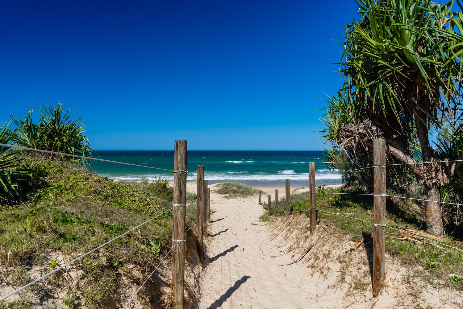 3 Joanne Street, Marcoola QLD 4564 Domain