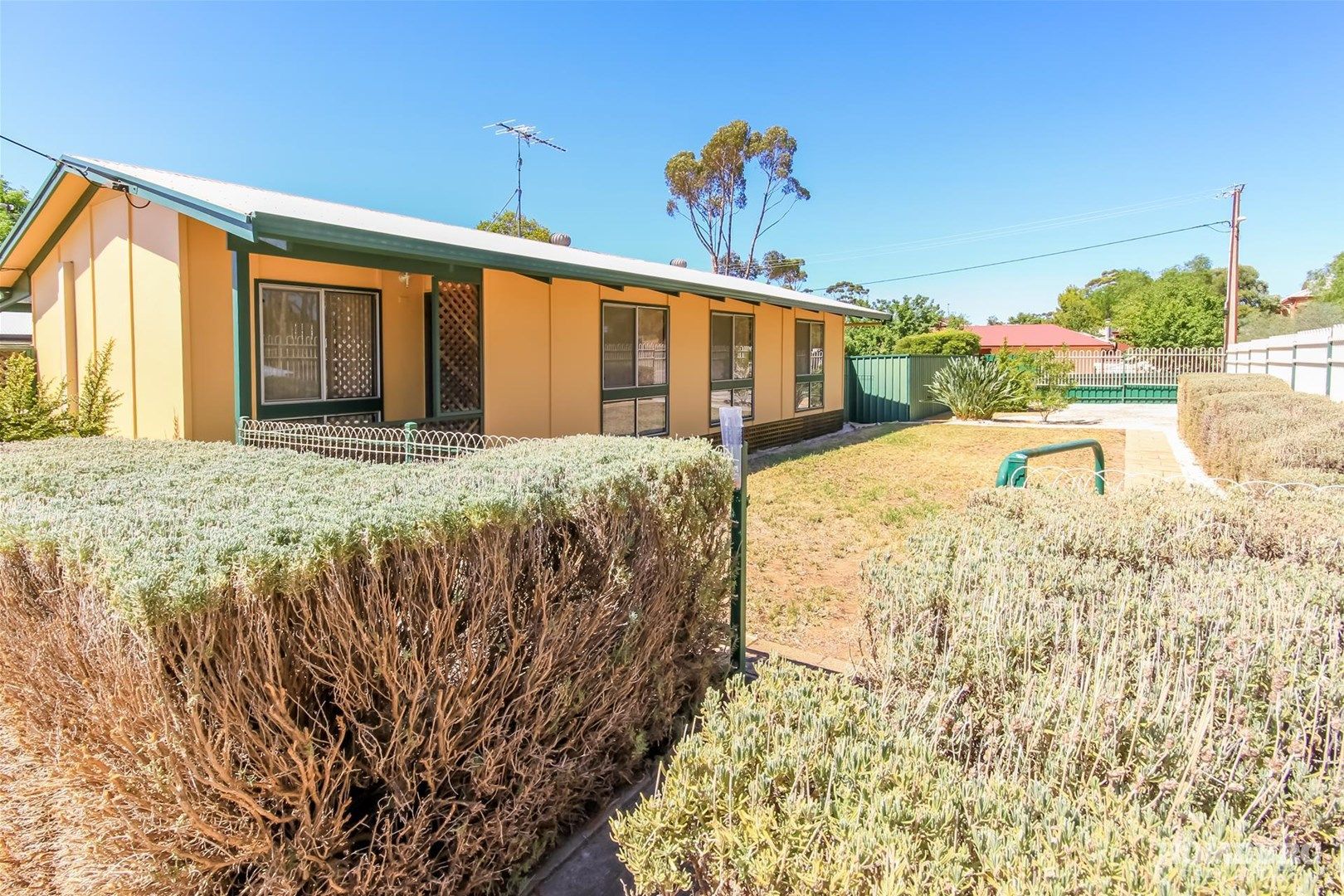 1 Branson Crescent, Kapunda SA 5373, Image 0