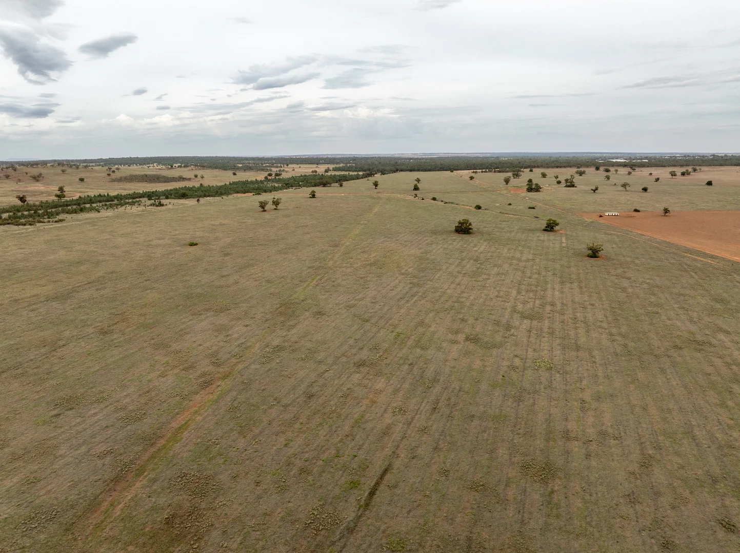 Additional image 9 of Barellan Road, Narrandera NSW 2700