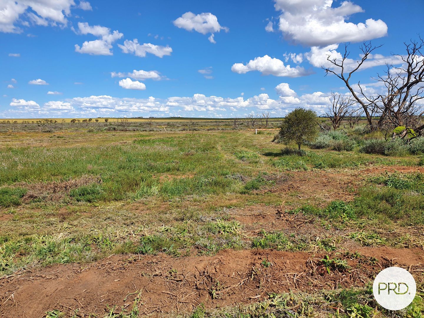 Lot 17a Midgley Road,, Merbein South VIC 3505, Image 1