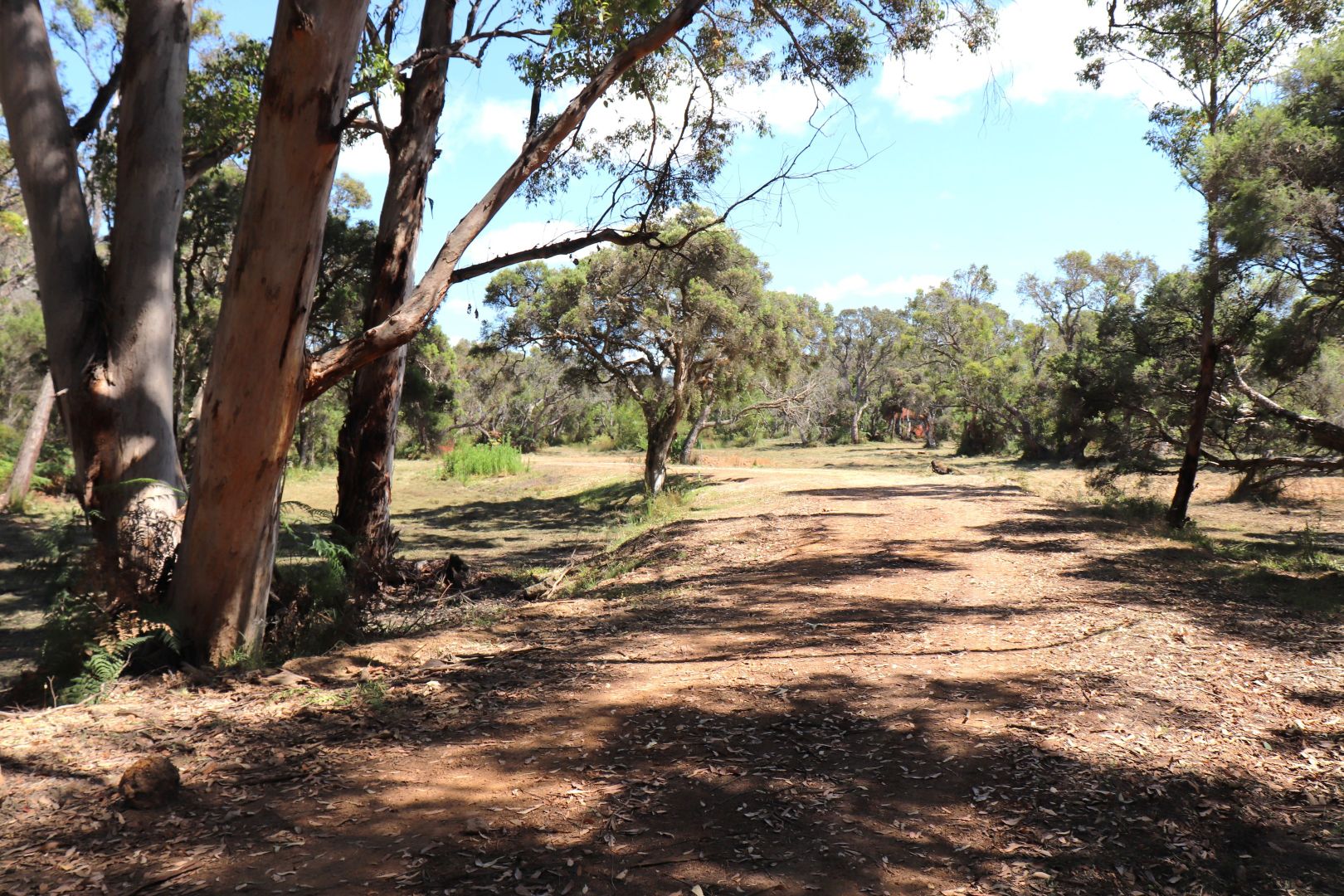 10 Inlet Drive, Denmark WA 6333 Vacant Land for Sale Domain