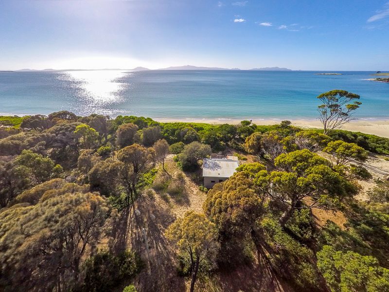 11766 Tasman Highway, LITTLE SWANPORT TAS 7190, Image 0