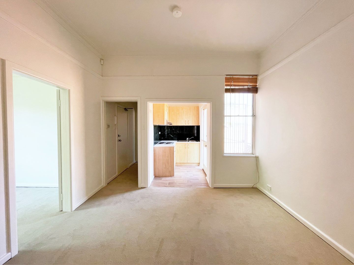 4/95 Queen Street, Woollahra NSW 2025 Apartment For Rent Domain