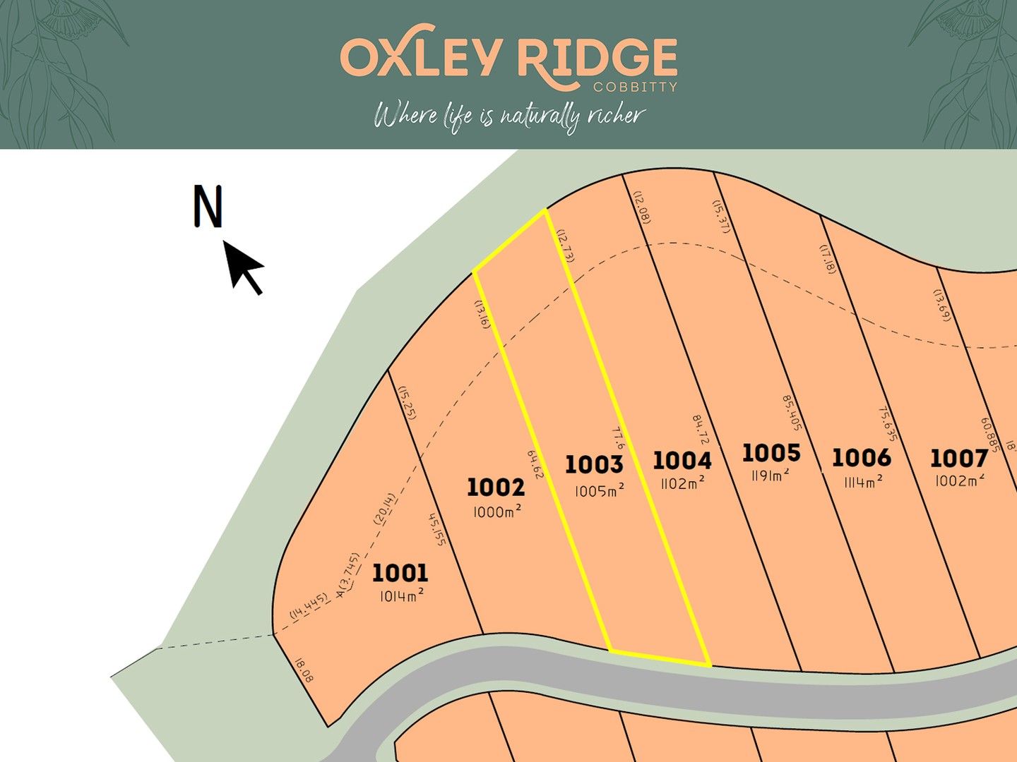 New land in Lot 1003 Wainwright Drive, COBBITTY NSW, 2570