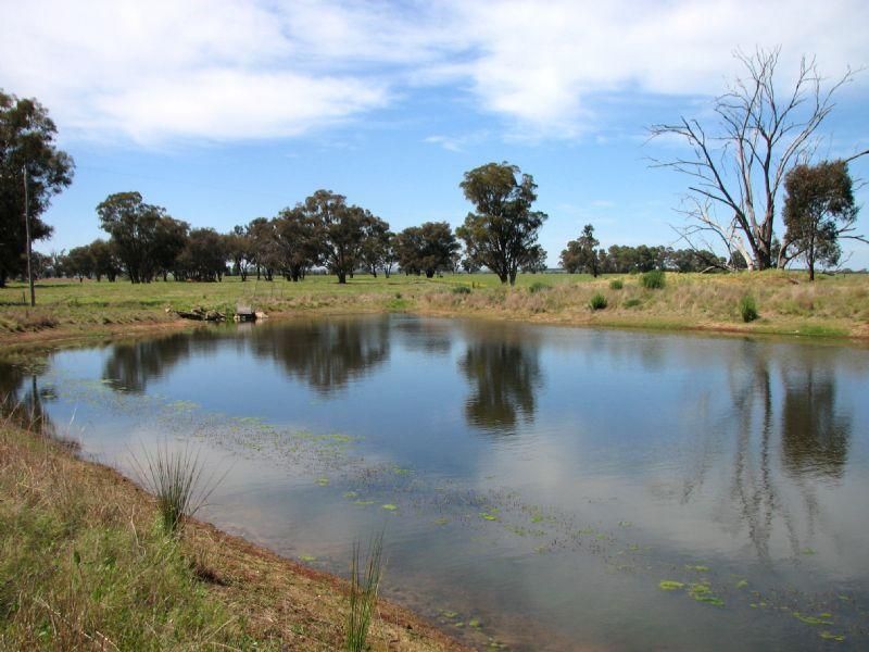 GRENFELL NSW 2810, Image 1