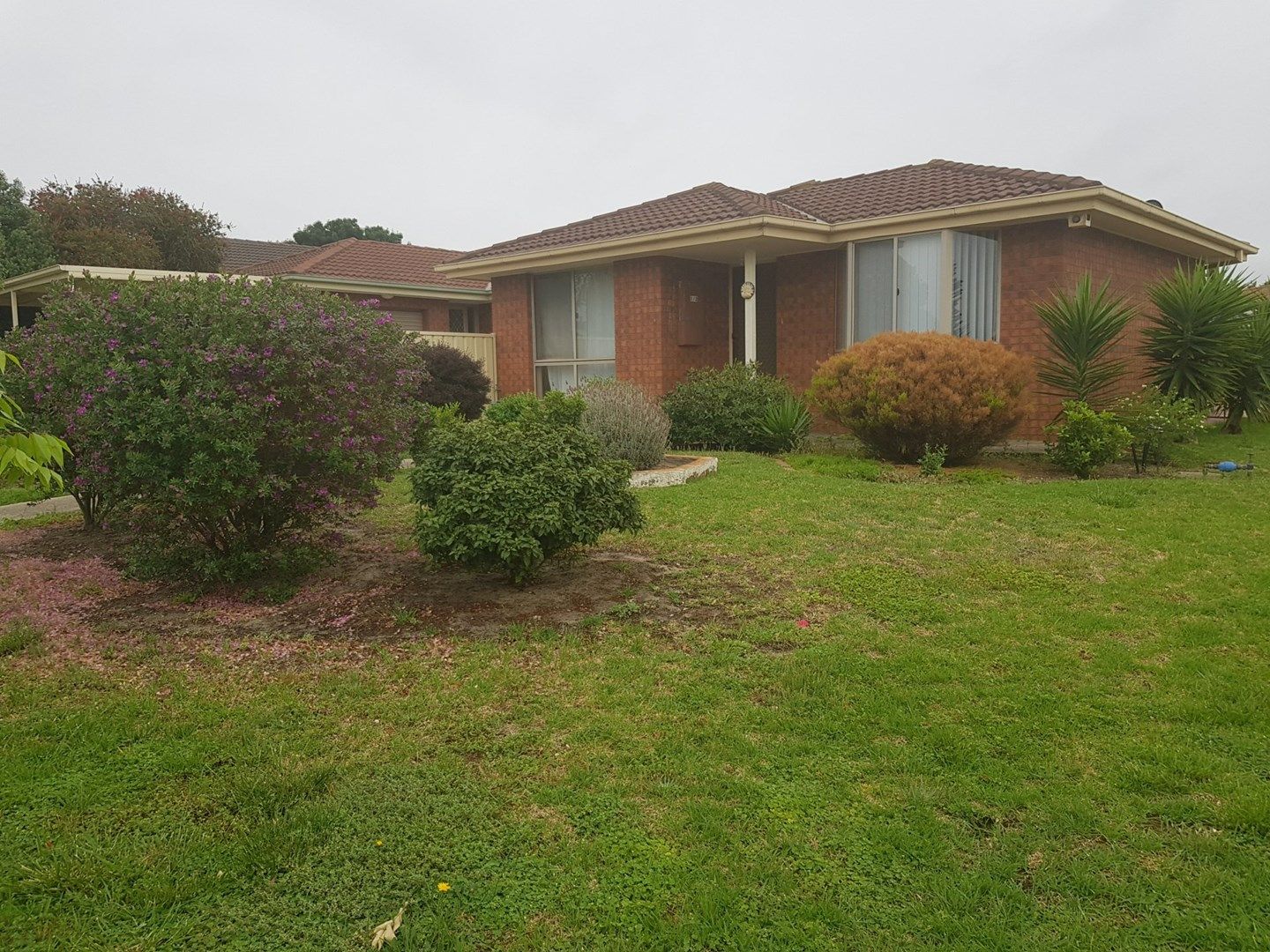 1/2 Poet Court, Keilor Downs VIC 3038, Image 0