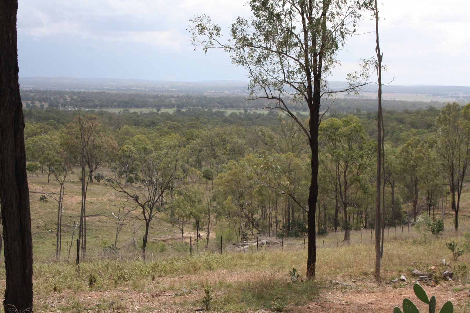 Rodgers Creek QLD 4370, Image 1