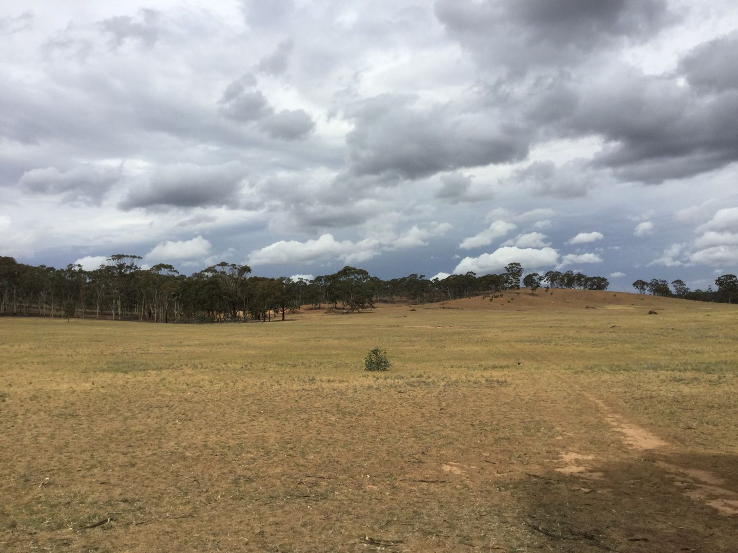 . Burkes Flat- Wehla Rd, Burkes Flat VIC 3475, Image 1