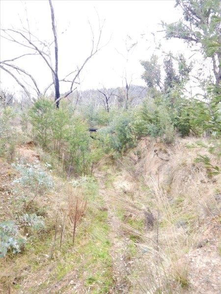 Lot 36 Good Good Fire Trail, Peak View NSW 2630, Image 1