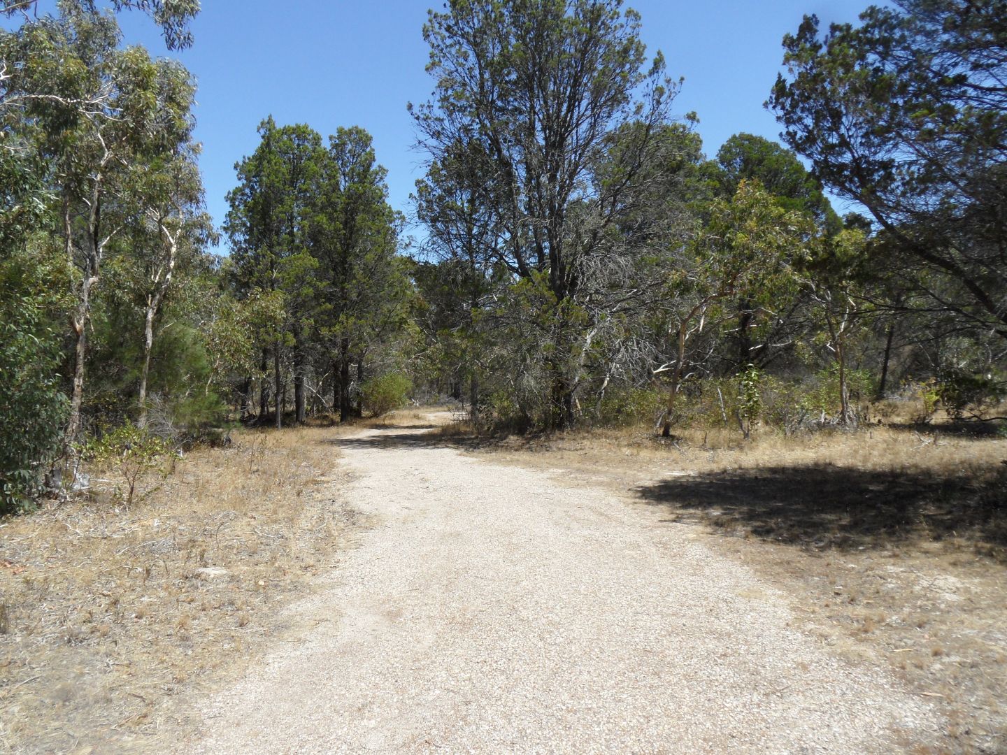 Lot 53 Knott Road, Williamstown SA 5351, Image 2