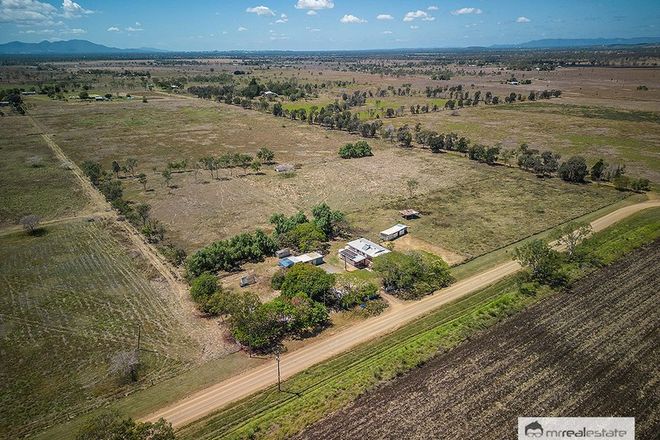 Picture of 69 Pandora Road, ALTON DOWNS QLD 4702